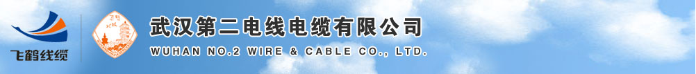 武汉第二电线电缆有限公司
